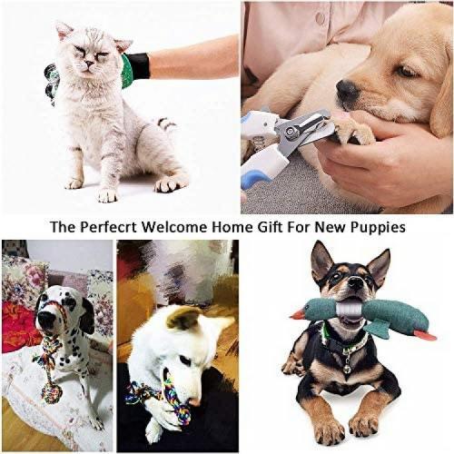 Puppy Starter Kits for Small Dog, 24pcs New pup Dog Starter kit Gift Set,Includes:Dog Toys/Dog Bed Blankets/Dog Grooming Tool/Puppy Training Supplies/Dog Leashes Accessories/Feeding Supplies (24pcs)