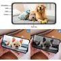 AONESY Dog Camera, WiFi Smart Pet Camera with Treat Dispenser for Dogs and Cats, Night Vision, 2-Way Audio, Compatible with Alexa