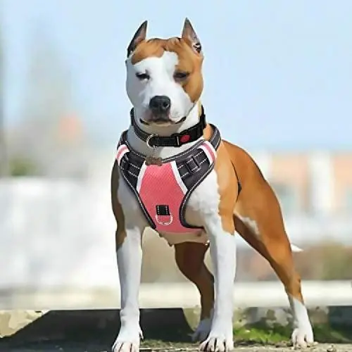BABYLTRL Big Dog Harness No Pull Adjustable Pet Reflective Oxford Soft Vest for Large Dogs Easy Control Harness (L, Pink) BABYLTRL Big Dog Harness No Pull Adjustable Pet Reflective Oxford Soft Vest for Large Dogs Easy Control Harness (L, Pink)