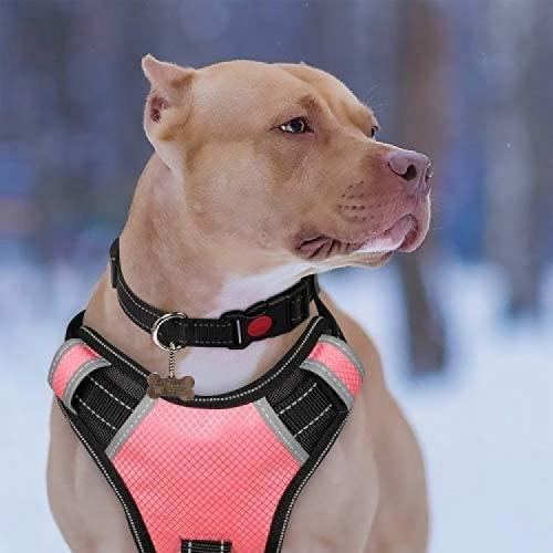 BABYLTRL Big Dog Harness No Pull Adjustable Pet Reflective Oxford Soft Vest for Large Dogs Easy Control Harness (L, Pink) BABYLTRL Big Dog Harness No Pull Adjustable Pet Reflective Oxford Soft Vest for Large Dogs Easy Control Harness (L, Pink)