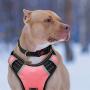 BABYLTRL Big Dog Harness No Pull Adjustable Pet Reflective Oxford Soft Vest for Large Dogs Easy Control Harness (L, Pink)