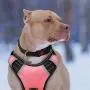 BABYLTRL Big Dog Harness No Pull Adjustable Pet Reflective Oxford Soft Vest for Large Dogs Easy Control Harness (L, Pink) BABYLTRL Big Dog Harness No Pull Adjustable Pet Reflective Oxford Soft Vest for Large Dogs Easy Control Harness (L, Pink)
