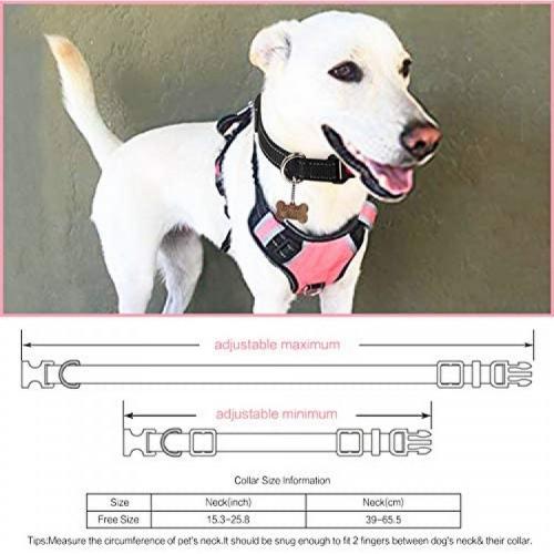 BABYLTRL Big Dog Harness No Pull Adjustable Pet Reflective Oxford Soft Vest for Large Dogs Easy Control Harness (L, Pink) BABYLTRL Big Dog Harness No Pull Adjustable Pet Reflective Oxford Soft Vest for Large Dogs Easy Control Harness (L, Pink)