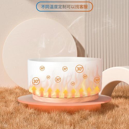 Ceramic Heated Pet Bowl Outdoor Dog Thermal-Bowl Provide Drinkable Water in Sub-Freezing Temperature for Cats, Chickens, Squirrels