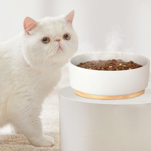 Ceramic Heated Pet Bowl Outdoor Dog Thermal-Bowl Provide Drinkable Water in Sub-Freezing Temperature for Cats, Chickens, Squirrels