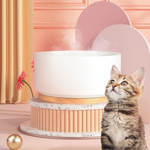 Ceramic Heated Pet Bowl Outdoor Dog Thermal-Bowl Provide Drinkable Water in Sub-Freezing Temperature for Cats, Chickens, Squirrels