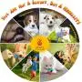 New KIPRITII Dog Chew Toys for Puppy - 20 Pack Puppies Teething Chew Toys for Boredom, Pet Dog Toothbrush Chew Toys with Rope Toys, Treat Balls and Dog Squeaky Toy for Puppy and Small Dogs