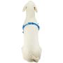 Softouch SENSE ible No Pull Dog Harness Blue Medium Large