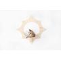 MYZOO Solar, Sun Shape, Wall Mounted Cat Shelves, Floating Perch, Cat Tree,Solid Wood