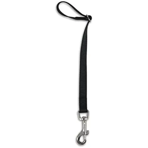 Petmate 11482 Seat Belt Loop Tether for Pets
