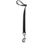 Petmate 11482 Seat Belt Loop Tether for Pets