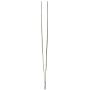 Tamsco Tweezers 12-Inch Angled Stainless Steel Angled Tip Blunt Point Serrated