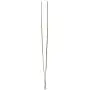 Tamsco Tweezers 12-Inch Angled Stainless Steel Angled Tip Blunt Point Serrated Tamsco Tweezers 12-Inch Angled Stainless Steel Angled Tip Blunt Point Serrated