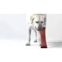 MPP Fire Hose Fetchers Dog Toys Extra Tough Durable Floating Squeakers Choose Size