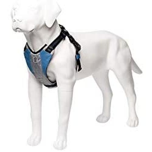 Stunt Puppy Go Dog Glo Harness, Large, Blue