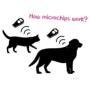 ECARE 20 Pack 2.12x12mm ISO 11784/11785 Dog Microchip Pet Cat Microchips Microchip for Dog and Cat