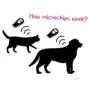 ECARE 20 Pack 2.12x12mm ISO 11784/11785 Dog Microchip Pet Cat Microchips Microchip for Dog and Cat ECARE 20 Pack 2.12x12mm ISO 11784/11785 Dog Microchip Pet Cat Microchips Microchip for Dog and Cat