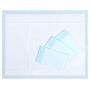 All-Absorb Honey Care, Training Pad, 30''x36'', 30 ct XXL, Ultra Absorbent and Odor Eliminating, Blue, A39