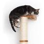 CatastrophiCreations Cat Sisal Climbing Pole Wall Mounted Elevated Climb, Lounge and Play Furniture Cat Tree Shelves - 3-Tier (42”)