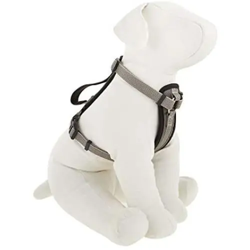 KONG Comfort Padded Chest Plate Dog Harness Offered by Barker Brands Inc. KONG Comfort Padded Chest Plate Dog Harness Offered by Barker Brands Inc.