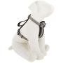 KONG Comfort Padded Chest Plate Dog Harness Offered by Barker Brands Inc.