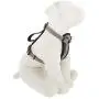 KONG Comfort Padded Chest Plate Dog Harness Offered by Barker Brands Inc. KONG Comfort Padded Chest Plate Dog Harness Offered by Barker Brands Inc.