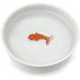 Suck UK Goldfish Dog Or Cat Bowl | Novelty Food & Water Bowl | Cat Food & Dog Food Dish | Ceramic Bowl | Cat Accessories |