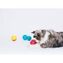 Pet Qwerks Animal Sounds Babble Ball Interactive Dog Toy, Makes Barnyard & Jungle Sounds When Touched