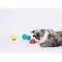 Pet Qwerks Animal Sounds Babble Ball Interactive Dog Toy, Makes Barnyard & Jungle Sounds When Touched Pet Qwerks Animal Sounds Babble Ball Interactive Dog Toy, Makes Barnyard & Jungle Sounds When Touched