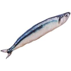 ocijf179 Cats Toy Pet Cats Artificial Plush Fish Shaped Catnip Dental Teeth Care Clean Chewing Toy - S Blue Saury