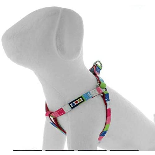 Pawtitas Multicolor Step in Dog Harness or Vest Harness Training of Your Puppy Harness