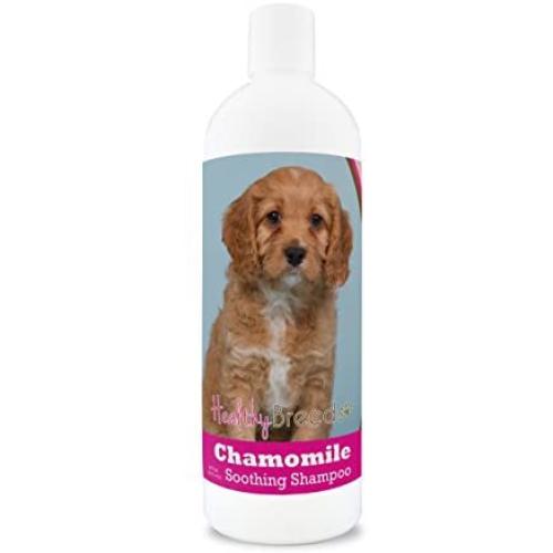 Healthy Breeds Chamomile Dog Shampoo & Conditioner with Oatmeal & Aloe for Cavapoo - OVER 200 BREEDS - 8 oz - Gentle for Dry Itchy Skin - Safe with Flea and Tick Topicals