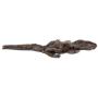 MPP Dog Toys Dinosaur Stuffing Free Squeaker Tug Pick Size Assorted Dino Characters