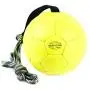 Julius-K9, Kora, Show Training Ball Julius-K9, Kora, Show Training Ball