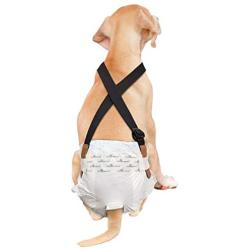 Paw Inspired Dog Diaper Suspenders | Dog Suspenders, Canine Suspenders | Dog Diaper Harness (S/M, Black)