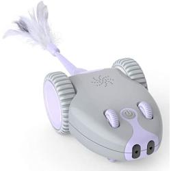 DADYPET Interactive Robotic Cat Toy, Mouse Shape Automatic Irregular Moving USB Rechargeable Electronic Toy with 5 Replacement Feathers for Kitten, All Floors Available