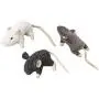 Spot 52084 3.5'' Wool Mouse Willie With Catnip Cat Toy Assorted Colors Spot 52084 3.5'' Wool Mouse Willie With Catnip Cat Toy Assorted Colors