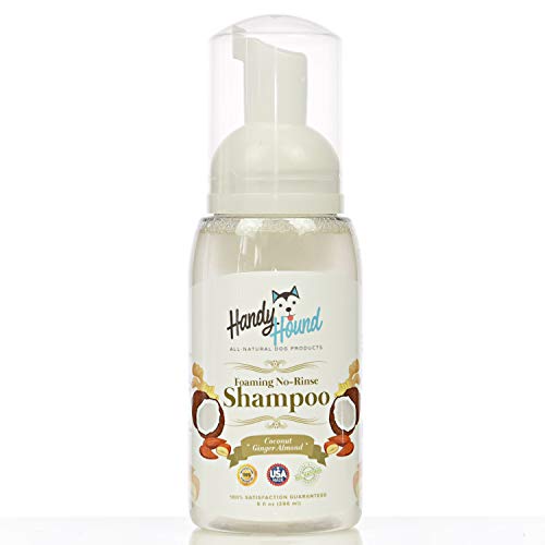 Handy Hound Coconut Ginger Almond Foaming No Rinse Shampoo for Dogs or Cats | All-Natural Dry Waterless Pet Shampoo to Safely Remove Pet Odors | 9oz/266ml, Made in USA.