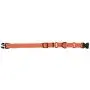 KOOWIN Slip Martingale Dog Collar & Dog Harness, Dog Leash with Reflective Strip, Orange/Grey