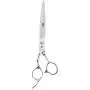 ShearsDirect Curved True Left Handed Professional Grooming Shear Scissors with an Ergonomic Handle Design, 8''