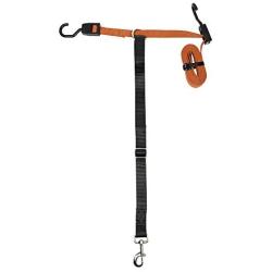 PetSafe Happy Ride Dog Zipline - Back Seat Leash, Great for Travel