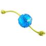 Ice Ball Fill with Water Dog Toys
