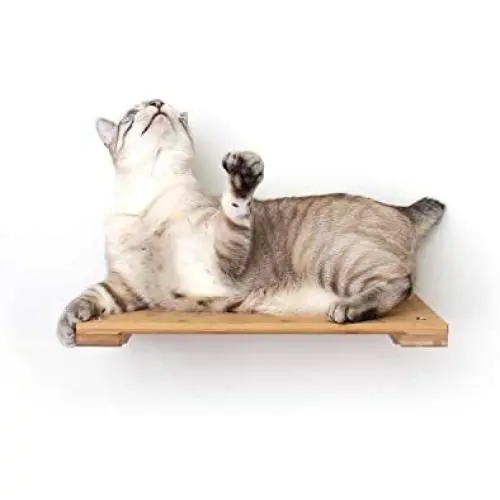 CatastrophiCreations 18'' Cat Shelf Wall Mounted Elevated Climb, Lounge and Play Furniture Cat Tree Shelves CatastrophiCreations 18'' Cat Shelf Wall Mounted Elevated Climb, Lounge and Play Furniture Cat Tree Shelves