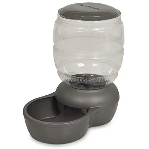 Petmate Replendish Feeder with Microban Automatic Cat and Dog Feeder 4 Sizes Available Petmate Replendish Feeder with Microban Automatic Cat and Dog Feeder 4 Sizes Available