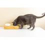 Pawmosa Elevated Bamboo Pet Table with Ceramic Bowls Raised/Anti-Slip Tilted Station Cats/Dogs Food/Drink Water-Resistant Surface Clean Feeding and Good Digestion for Pets