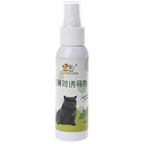 MOMU Cat Catnip Pet Training Toy Natural Healthy Cat Mint Funny Scratch Toy Spray