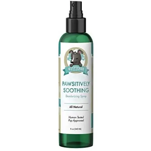 MUTTSCRUB Pawsitively Soothing Bundle: (1) Dog Anti Itch Shampoo, (1) Natural Deodorant Spray, and (1) Healing Antibacterial Lotion for Dry Itchy Skin, Paws, Hot Spots, Dermatitis MUTTSCRUB Pawsitively Soothing Bundle: (1) Dog Anti Itch Shampoo, (1) Natural Deodorant Spray, and (1) Healing Antibacterial Lotion for Dry Itchy Skin, Paws, Hot Spots, Dermatitis