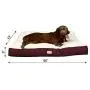 Armarkat Pet Bed Mat, Ivory