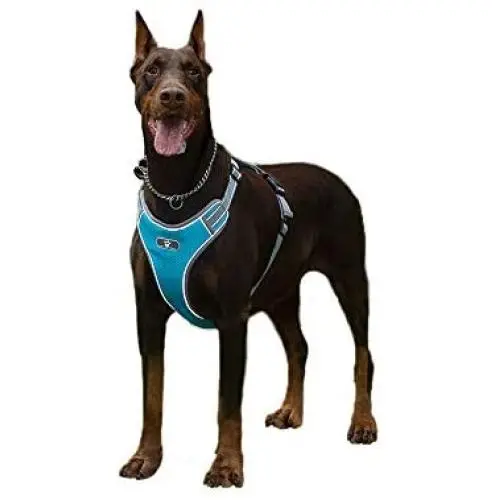 FEimaX Dog Harness No Pull Adjustable Pet Vest Harnesses for Small Medium Large Dogs Reflective Breathable Soft Mesh Oxford Chest Harness Easy Control for Outdoor Walking Training FEimaX Dog Harness No Pull Adjustable Pet Vest Harnesses for Small Medium Large Dogs Reflective Breathable Soft Mesh Oxford Chest Harness Easy Control for Outdoor Walking Training