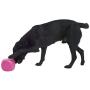 Kruuse Buster Food Cube Feeder